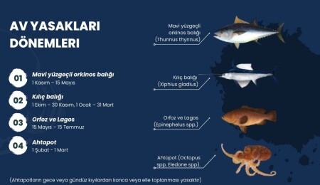Tarım ve Doğal Kaynaklar Bakanlığı, su ürünleri dönemsel av yasakları konusunda bilgilendirme yaptı
