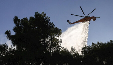 Atina'ya yaklaşık 60 kilometre uzaktaki Oropos'ta orman yangını çıktı