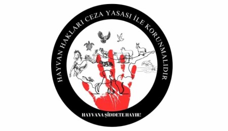 Altın Patiler Derneği’nden çağrı: Ülkedeki şiddeti görünür kılın ve yasaya olan desteğinizi gösterin!