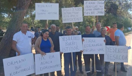 Yeşilköy’de mezarlık krizi: Bir grup ormanlık araziye mezarlık isterken bir grup istemiyor!
