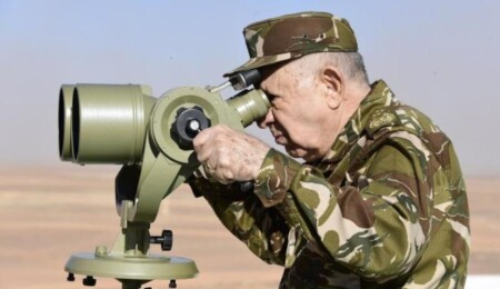 Cezayir devlet radyosu: Fransa, Nijer'i vurmak için Cezayir hava sahasını kullanmak istedi