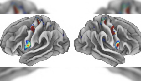 Timus bezinin kanserle mücadeledeki rolü