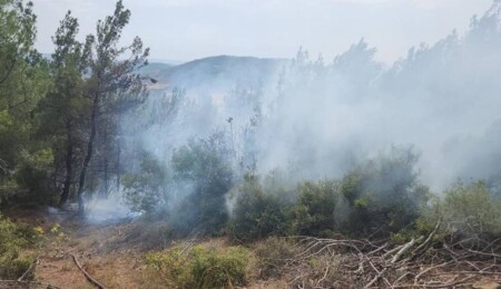 Çanakkale'de yıldırım isabet eden ormanlık alanda yangın çıktı