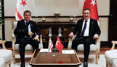 Üstel: Türkiye'den gelecek teknik ekipler çalışmalarını bitirdiğinde, narenciyecilerin mağduriyetleri de ortadan kalkacak