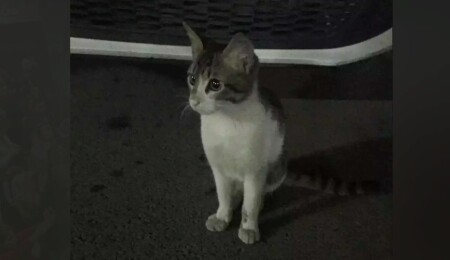 Eros'un katili İbrahim Keloğlan 2 yıl 6 ay hapis cezasına çarptırıldı!