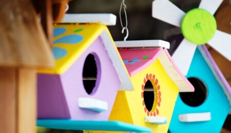 Salamis Ormanları’na halka açık etkinlikle kuş yuvası yerleştirilecek