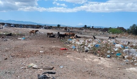 Gazimağusa Ağıllar bölgesi acil çözüm bekliyor