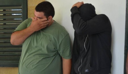 Akıncılar’da kuzu çalan şahıslar mahkemeye çıkarıldı: Mahkeme tutukluluk kararı verdi