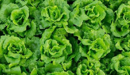 3 üründe bitki koruma ürünü tespit edildi