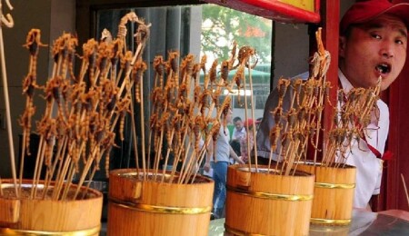 Singapur'da çekirge ve süper solucanlar dahil 16 böcek türü yiyecek olarak onaylandı