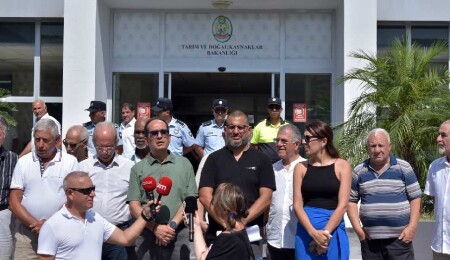 Çevre Platformu çam kese böceğiyle havadan biyolojik mücadele için harekete geçilmesini istedi