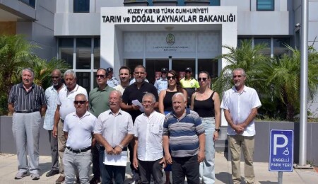 Çevre Platformu: Tarım Bakanlığı’nın çam kese böceği konusundaki çalışmalarını yakından takip ediyoruz