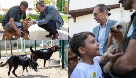 Erdal Beşikçioğlu, 5 sokak köpeğini belediyeye atadı