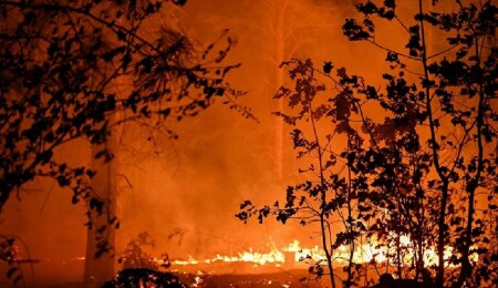 Los Angeles'taki yangınlarda ölü sayısı 24'e yükseldi