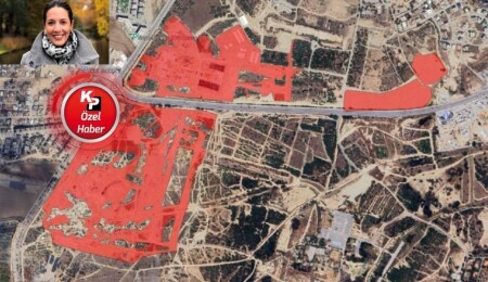 Feriha Tel: Külliye yapımı için 4 bin 922 ağaç kesildi!