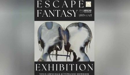 Şirin Gazi’nin Kaçış Fantazisi isimli sergisi, 14 Şubat’ta sona eriyor