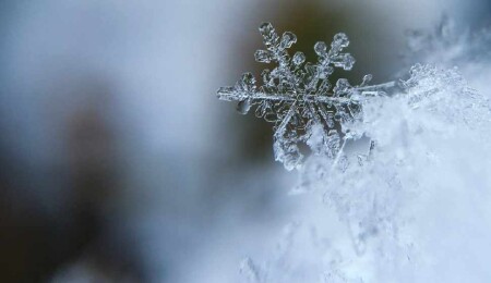 Kışın en soğuk günleri yaşanıyor