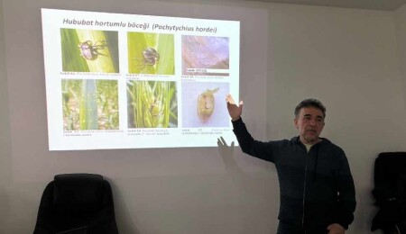 Tahıl hastalıkları ve zararlılarıyla mücadele yöntemleri konusunda üreticilere eğitim verildi