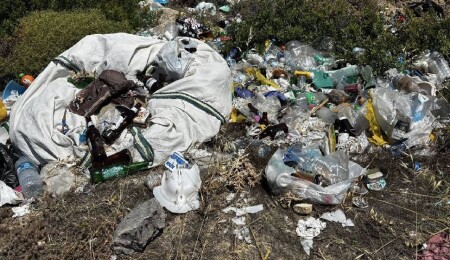 Rabia Aslan: Bu tablo, çağ dışı geri kalmış bir ülkenin fotoğrafıdır