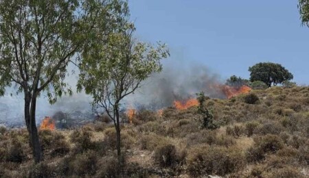 Yamaçköy’deki orman yangını için acil destek çağrısı yapıldı