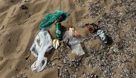 Sahiller günde iki kere temizleniyor, ancak kirlilik önlenemiyor!