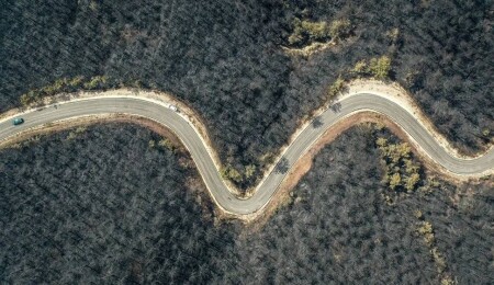 Bilecik'in ormanları siyaha büründü