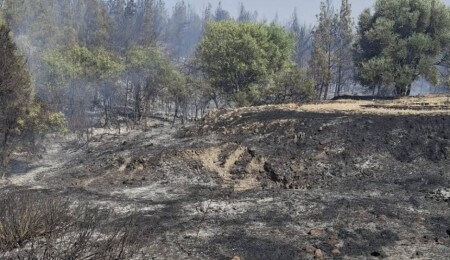 Ergenekon köyündeki yangın söndürüldü: Soğutma çalışmaları sürüyor