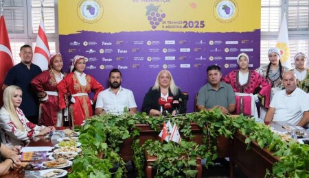 63. Mehmetçik Üzüm Festivali 29 Temmuz Salı günü başlıyor