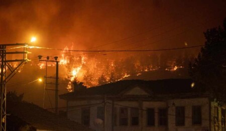 Sakarya ve Bilecik'teki yangınlara müdahale ediliyor