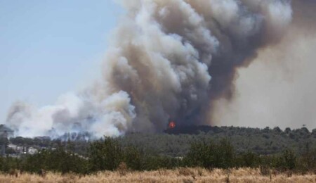 Çanakkale'de orman yangını