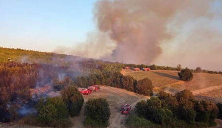 Osmaniye'de yangına giden arazöz devrildi: 1 şehit, 4 yaralı