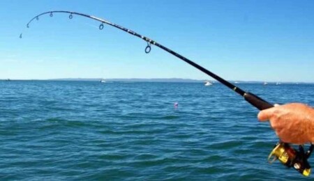 "Mesleki Su Ürünleri Avcılığı Destekleme Primi” uygulaması başlatıldı