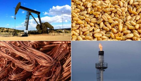 Emtia piyasasındaki sert dalgalar endişeye neden oluyor