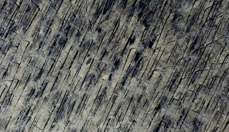 İspanya'da devam eden orman yangınlarında 407 bin hektardan fazla alan kül oldu