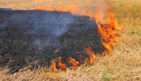 Polis uyardı: Anız yakmak suçtur
