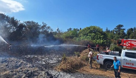 Yenierenköy yangını: Kuru otları tedbirsiz yakan kişi hakkında yasal işlem başlatıldı