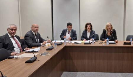 Hukuk, Siyasi İşler, Dışilişkiler ve Savunma Komitesi toplandı: Serdarlı’daki arazi tasarısı görüşüldü