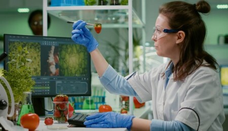 Gıda Mühendisleri Odası: Gıda mühendisi olmayan belediyelerde denetim eksiktir, risk yüksektir!