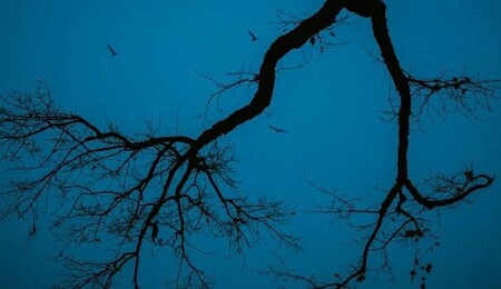 'Yılın en depresif günü' bugün: Mavi Pazartesi gerçek mi?