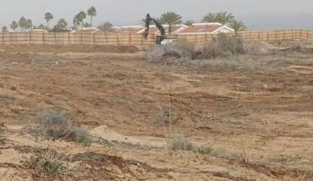 CTP Gençlik Örgütü: İskele’de ağaç kesimi yasaklı arazide inşaat izni verildi, 10 dönüm alan tahrip edildi!