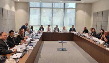 Kamu ve Sağlık İşleri Komitesi, Sivil Havacılık Dairesi ve Bayrak Radyo Televizyon Kurumu yasa tasarılarını görüştü