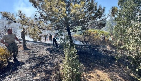 Kozanköy ve Kırıkkale'de peş peşe yangınlar: 15 bin 100 dönüm arazi zarar gördü
