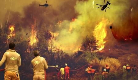 Antalya, Balıkesir ve Muğla'nın 4 noktasında orman yangınları devam ediyor