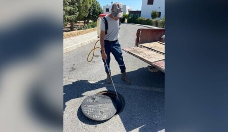 Tatlısu’da Batı Nil Virüsü’ne karşı mücadele yoğunlaştırıldı