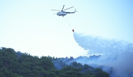 Fransa'da orman yangınları: Marsilya havalimanı kapatıldı