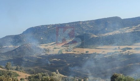 Avtepe-Kuruova arasındaki yangın kontrol altına alındı!