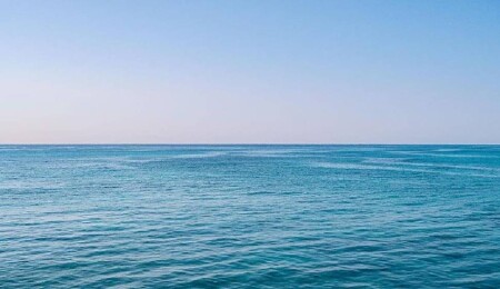 Türk yüzücüler Pasifik Okyanusu'nda köpek balığı saldırısına uğradı