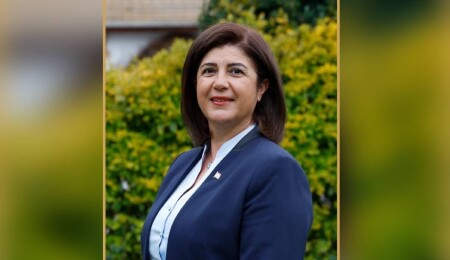 Tülen Saner, Başbakanlık Denetleme Kurulu üyesi oldu