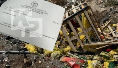 İthal karpuz limanda kaldı, Tarım Bakanlığı 22 Nisan kararını hatırlattı