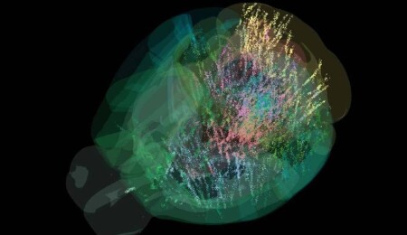 Beyindeki karar verme sürecinin haritası çıkarıldı